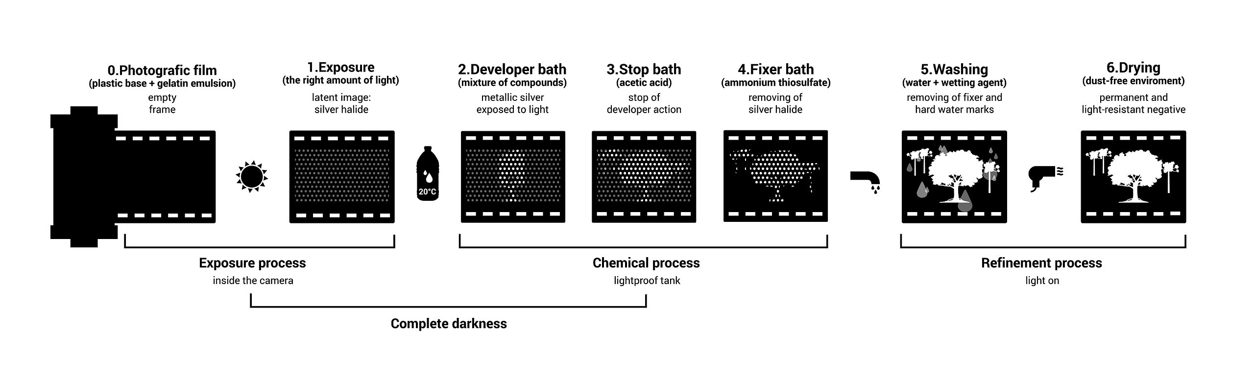 Essential Steps of Development (Source:Wikipedia)
